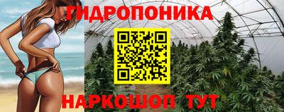молекула духа Коммунар