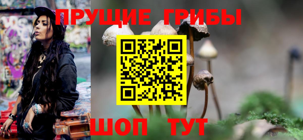 Псилоцибиновые грибы Magic Shrooms  Вход с VPN  закладка  Коммунар 